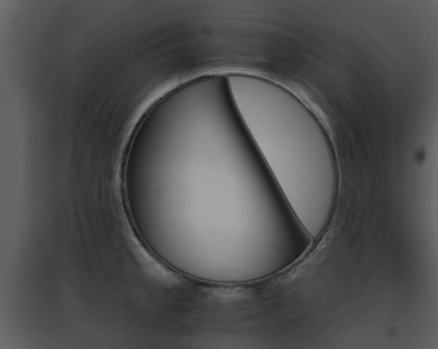 X0000095671189200801081032
