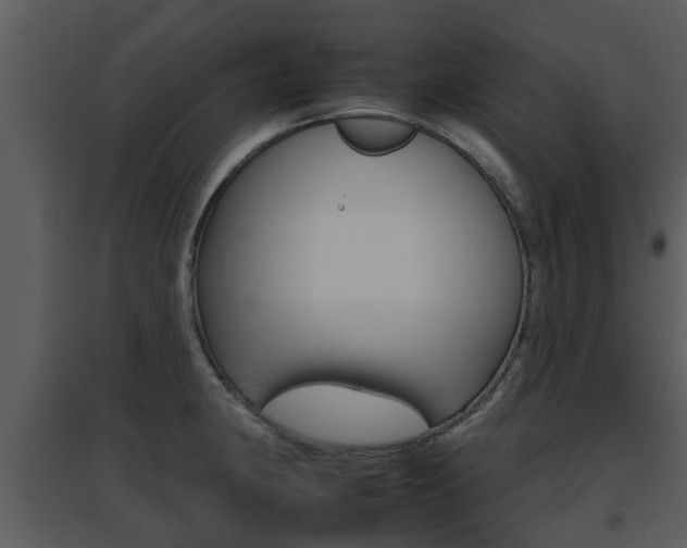 X0000095671190200801081032