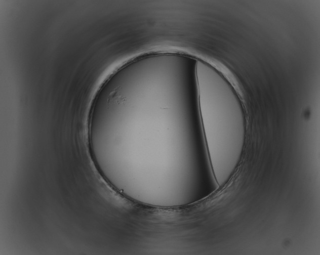 X0000095671191200801081032