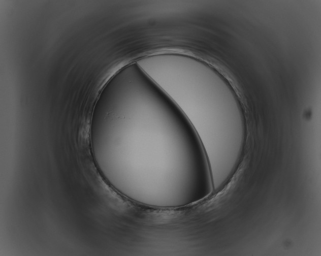 X0000095671193200801081032