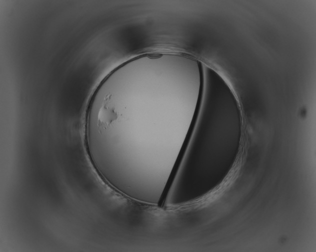 X0000095671195200801081032