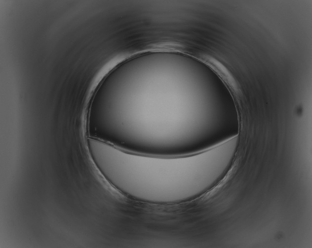 X0000095671196200801081032