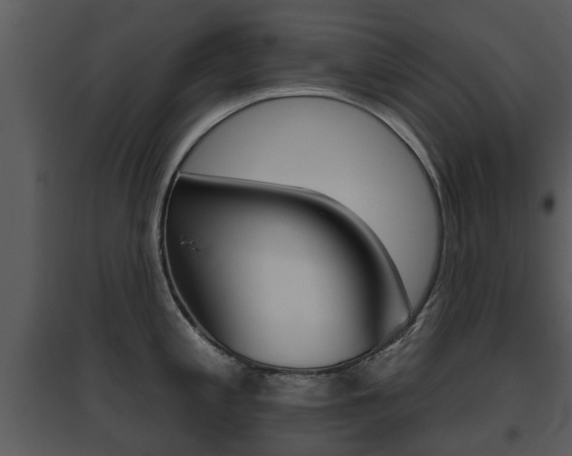 X0000095671197200801081032