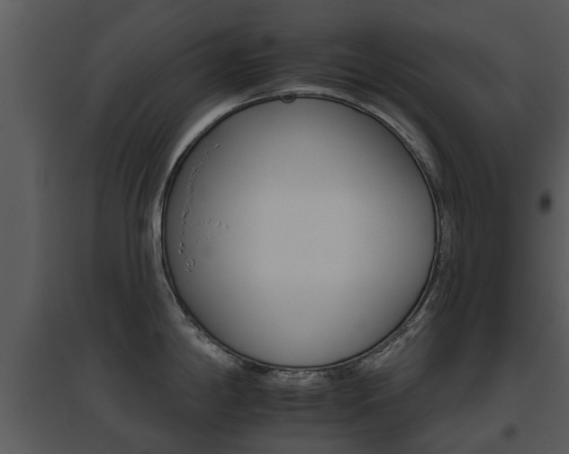X0000095671198200801081032