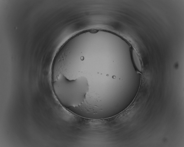 X0000095671199200801081032