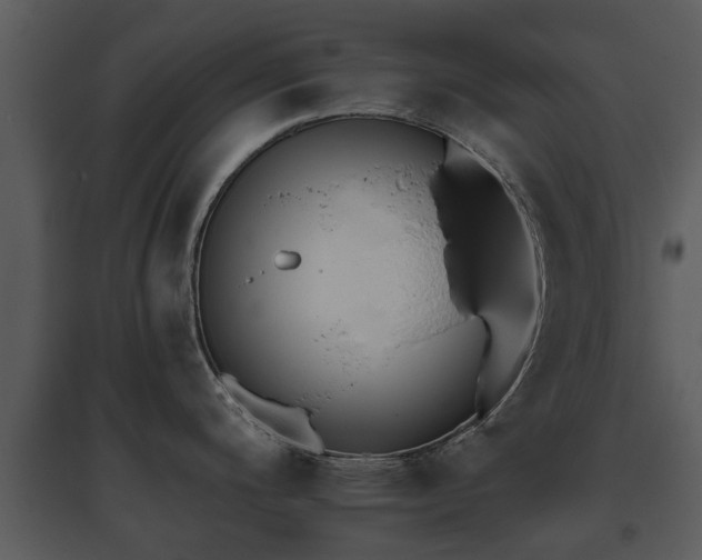 X0000095671200200801081032
