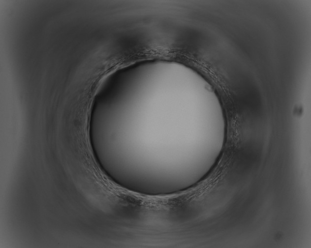 X0000095671201200801081031