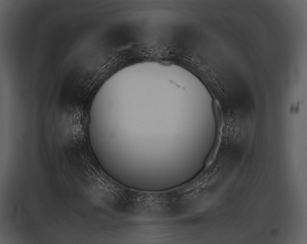 X0000095671202200801081031