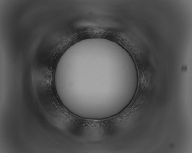 X0000095671204200801081031