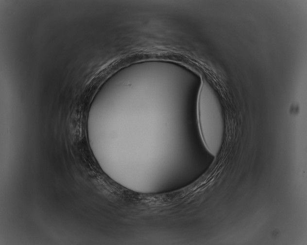 X0000095671205200801081031