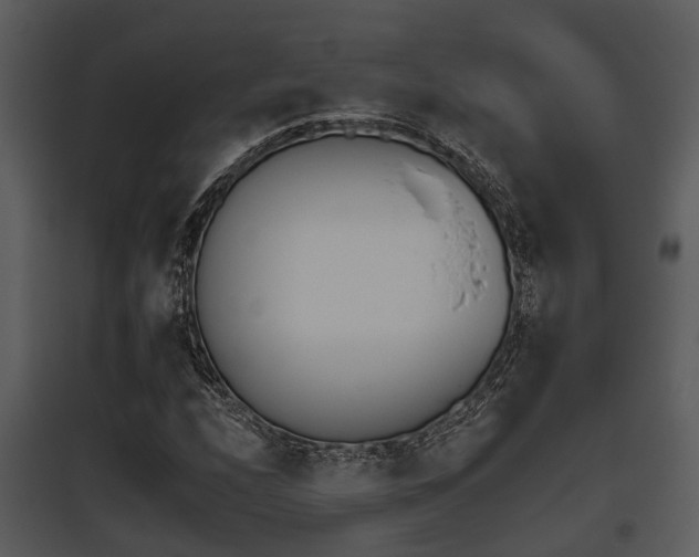 X0000095671208200801081031