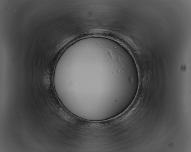 X0000095671209200801081031