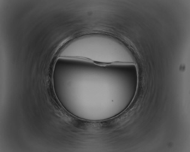 X0000095671210200801081031