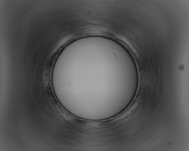X0000095671211200801081031