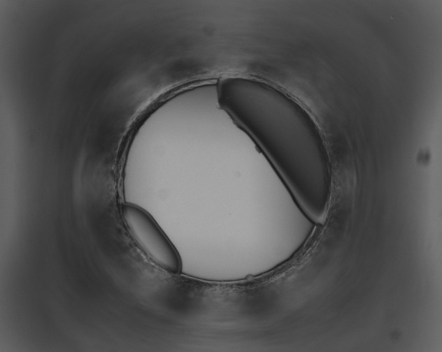 X0000095671212200801081031