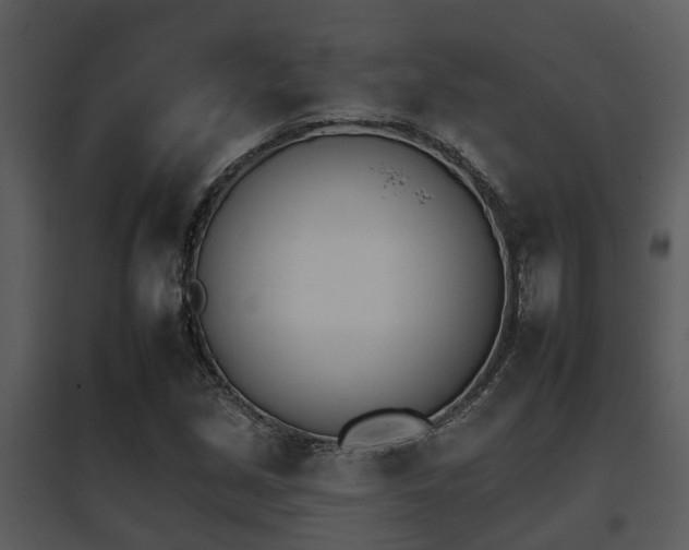 X0000095671213200801081031