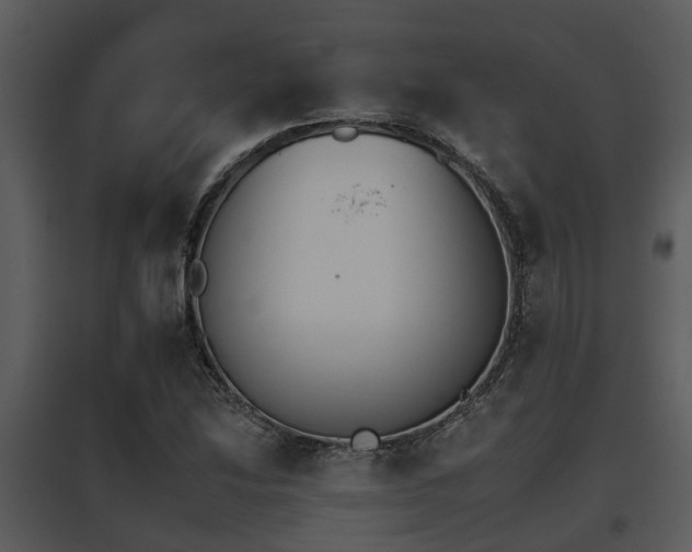 X0000095671214200801081031