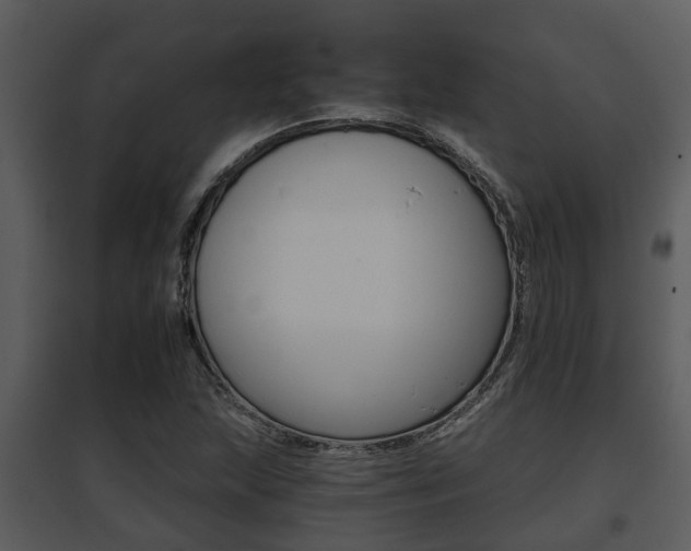 X0000095671215200801081031