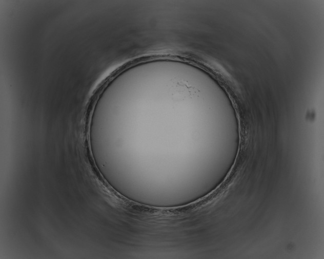 X0000095671216200801081031