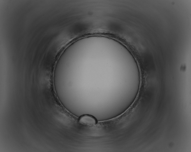 X0000095671217200801081031