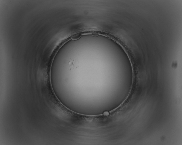 X0000095671218200801081031