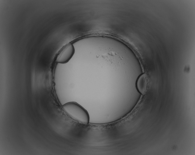 X0000095671219200801081031