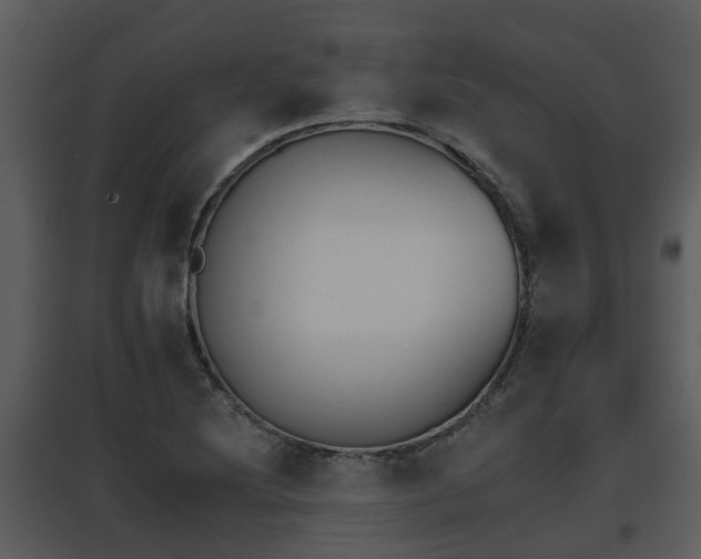 X0000095671220200801081031