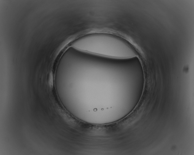 X0000095671221200801081031