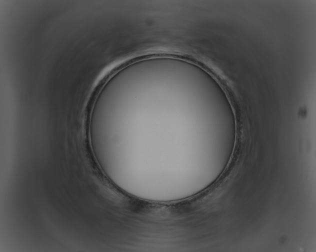 X0000095671222200801081031