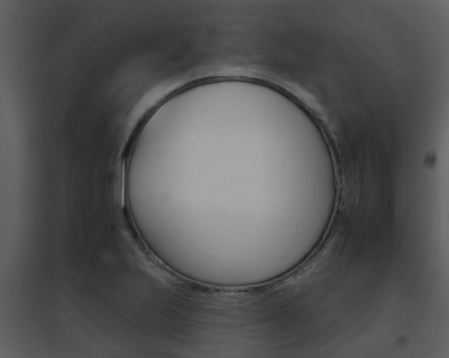 X0000095671223200801081031