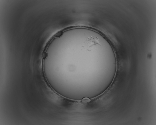 X0000095671224200801081031