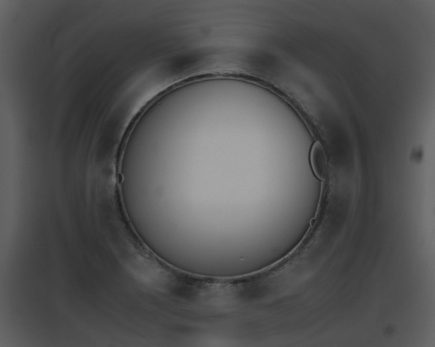 X0000095671226200801081031