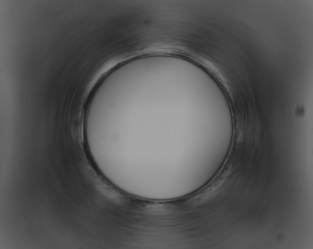 X0000095671227200801081031