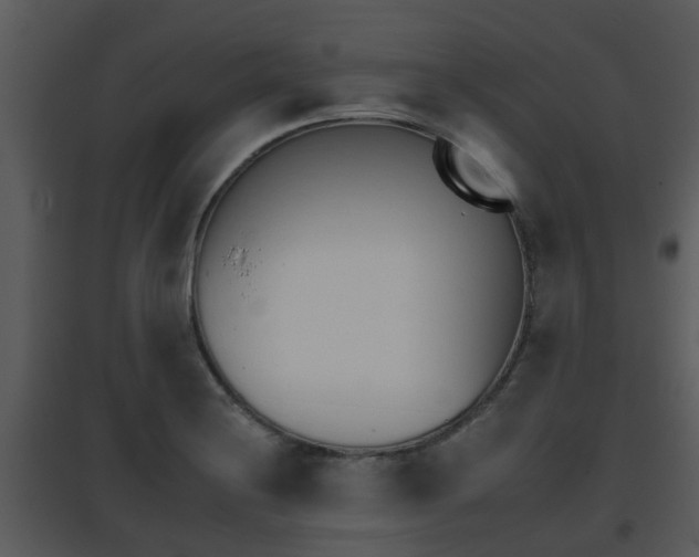X0000095671228200801081031