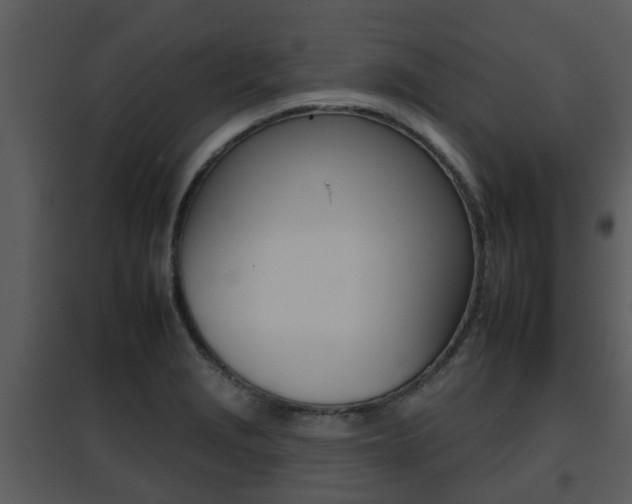 X0000095671229200801081031