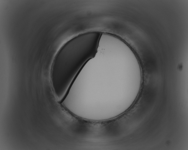 X0000095671230200801081031