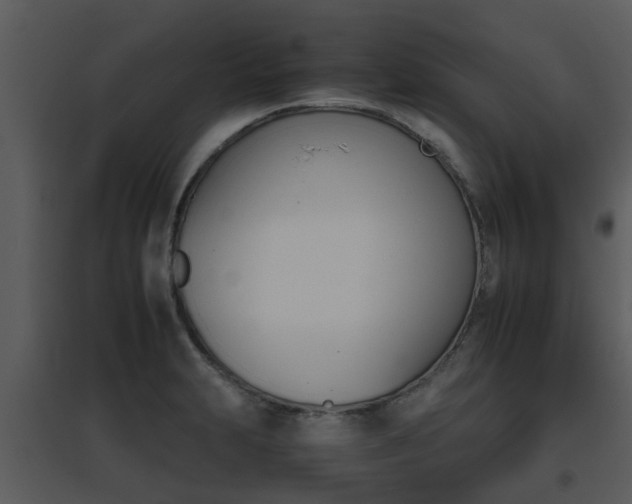 X0000095671231200801081031