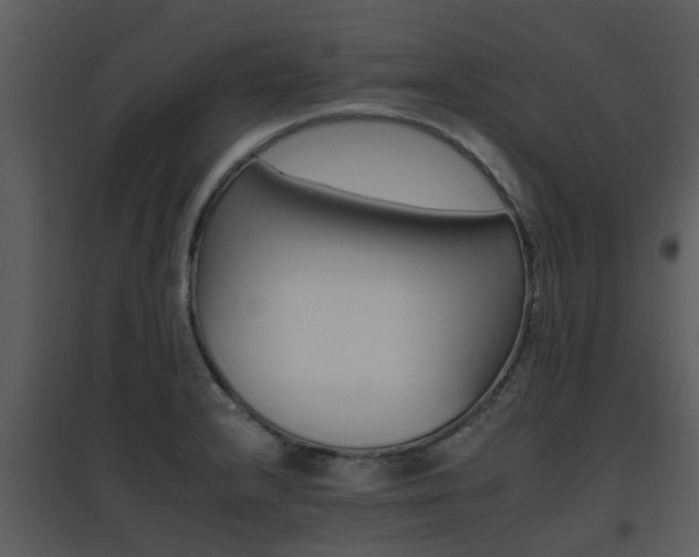 X0000095671232200801081031