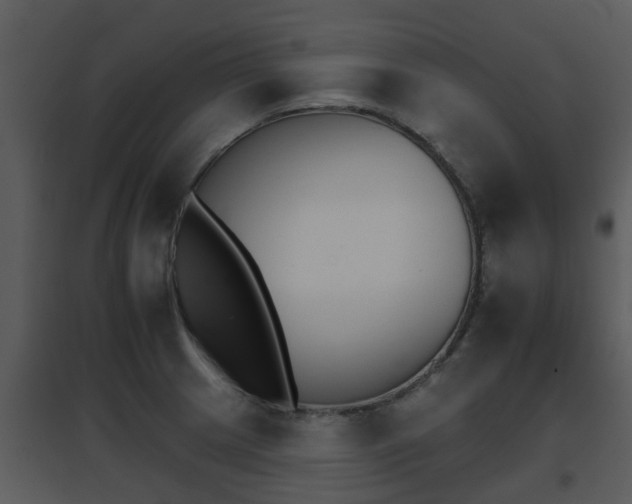 X0000095671233200801081031
