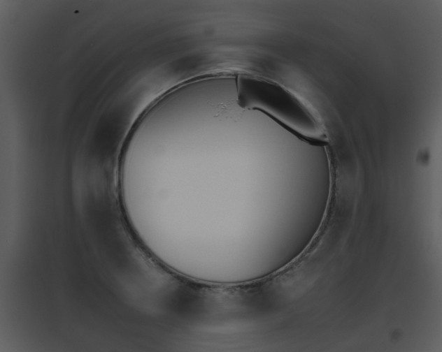 X0000095671234200801081031