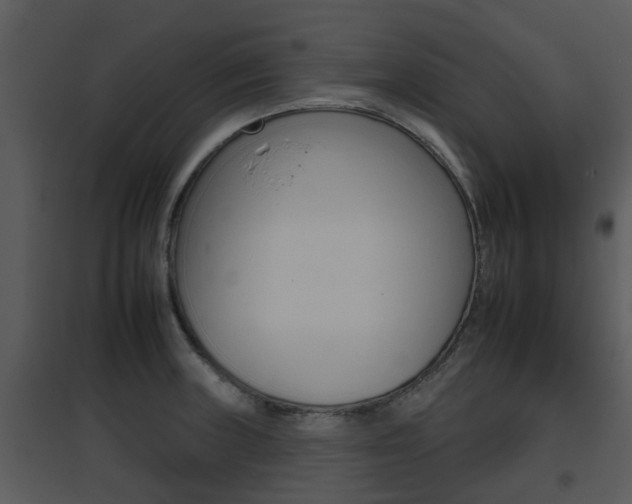 X0000095671235200801081031