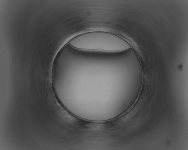 X0000095671236200801081031