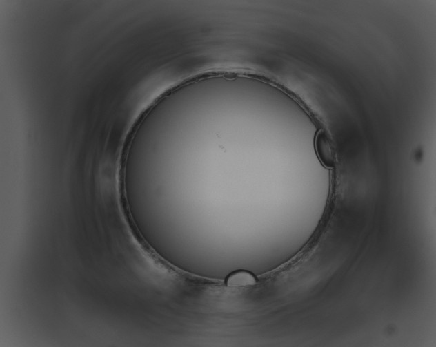 X0000095671237200801081032