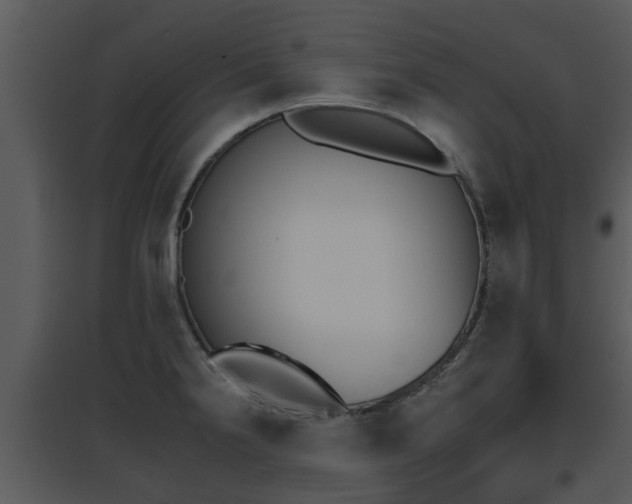 X0000095671238200801081032