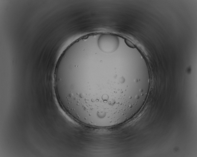 X0000095671239200801081032