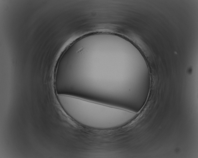 X0000095671240200801081032