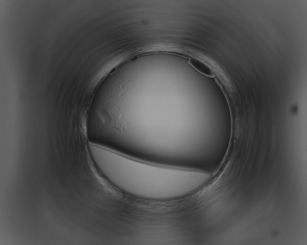 X0000095671241200801081032
