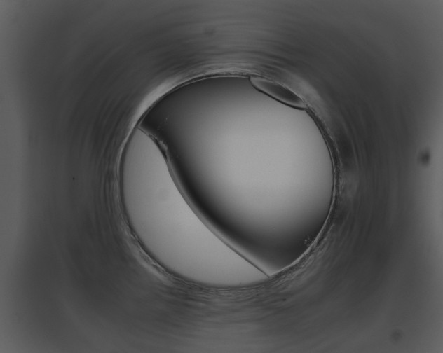 X0000095671242200801081032
