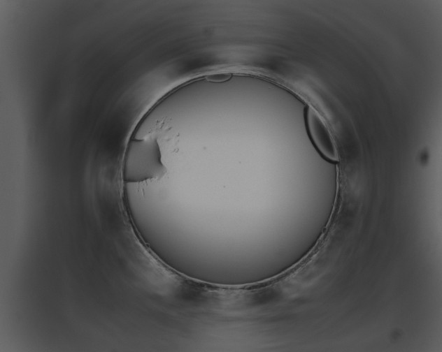 X0000095671244200801081032