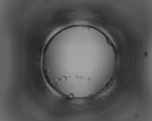 X0000095671245200801081032
